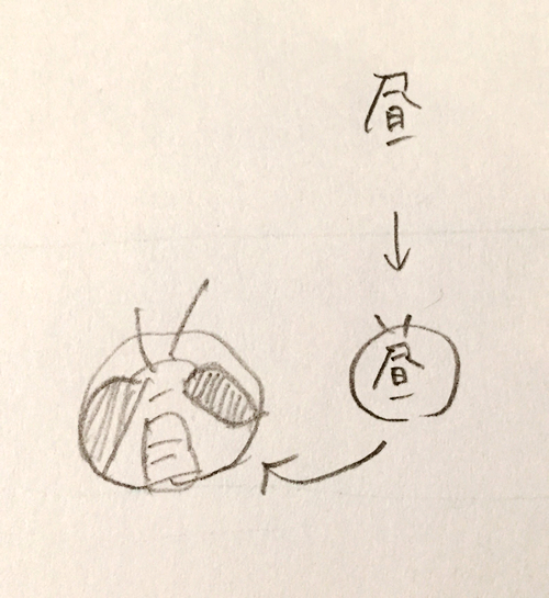 夏休みの宿題のお助け バッタの描き方講座 Maromaro Blog