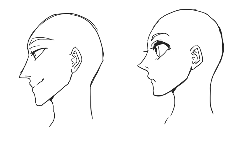 イラストの描き方 人の横顔を描いてみよう Web制作会社 Maromaro Blog
