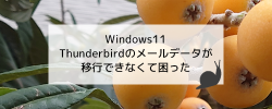 Windows11 Thunderbirdのメールデータが移行できなくて困った